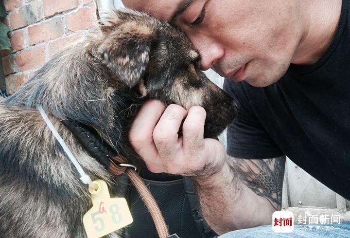 程马克救助犬只图片(来自程马克社交平台)